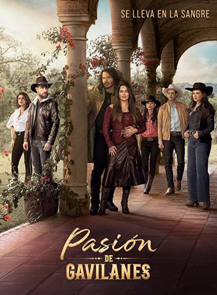 دانلود سریال مکزیکی شور پنهان Pasion de gavilanes با دوبله فارسی